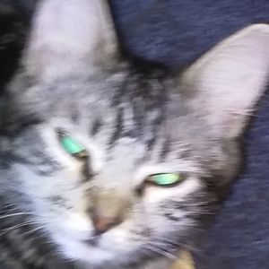 Meet your Posher, Sonia